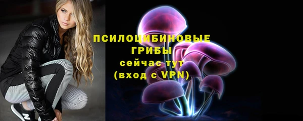 2c-b Алзамай