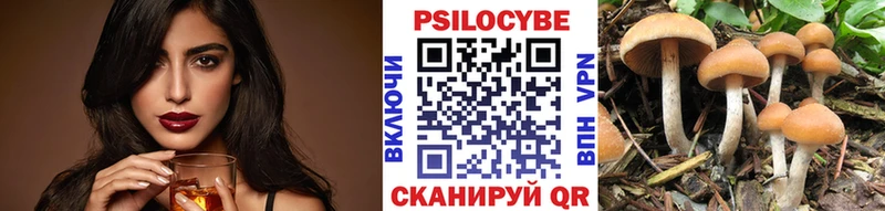 OMG вход  Ачинск  Псилоцибиновые грибы мицелий  сколько стоит 